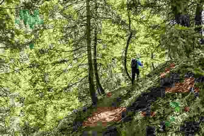 A Backpacker Hiking Through A Lush Forest In Idaho Backpacking Idaho: From Alpine Peaks To Desert Canyons