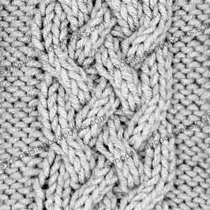 A Close Up Of A Cable Knitted Fabric, Showcasing The Intricate Twists And Turns Of The Stitches. Notable Knit Handbags: 6 Projects With Cables Entrelac Beading And Felting