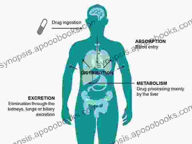 A Compartmental Model Representing The Movement Of Drugs Through The Body Differential Equations And Mathematical Biology (Chapman Hall/CRC Mathematical And Computational Biology)