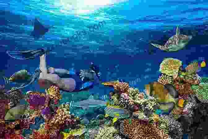 A Group Of People Snorkeling In The Crystal Clear Waters Of The Caribbean, Surrounded By Colorful Coral Reefs The Trip Of A Lifetime (Caribbean 5)