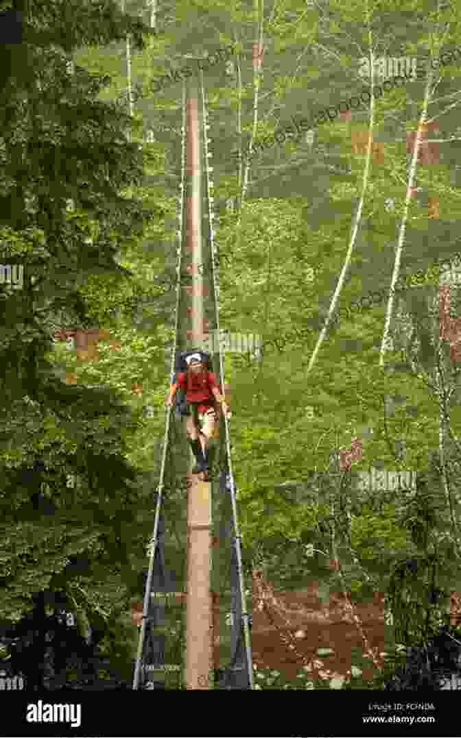 A Hiker Crossing A Suspension Bridge Over A Roaring River Trekking In Ladakh: Eight Adventurous Trekking Routes (Cicerone Guides)