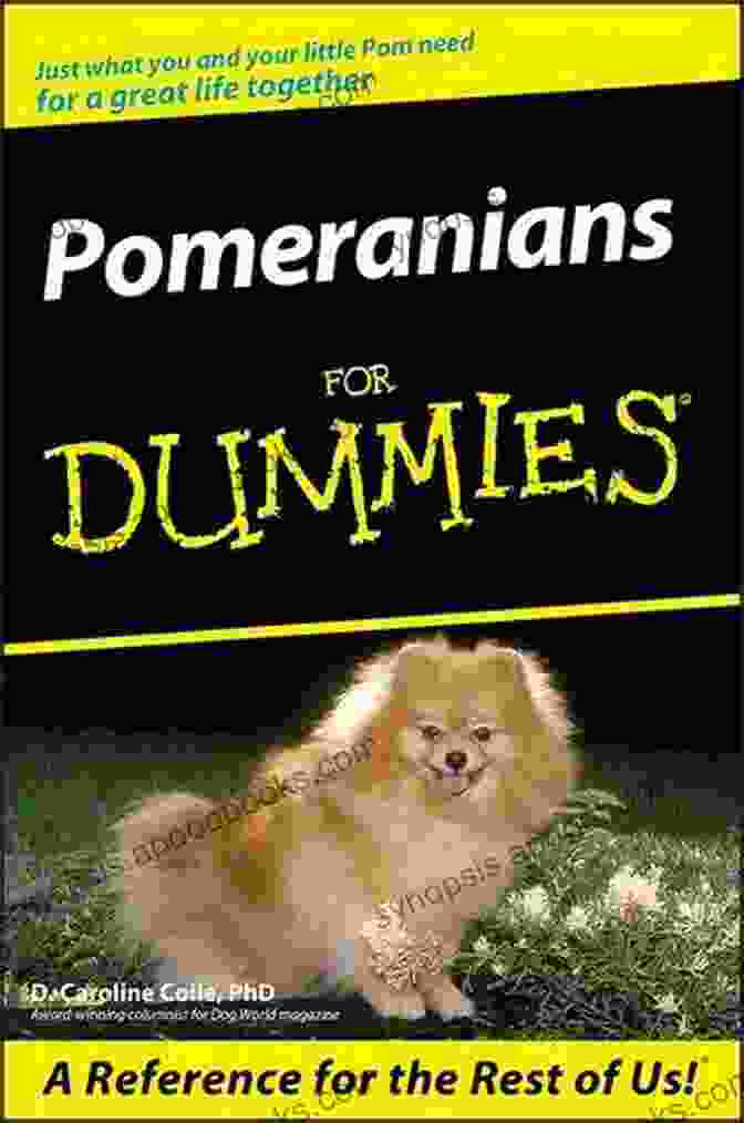 A Pomeranian Puppy Pomeranians For Dummies D Caroline Coile