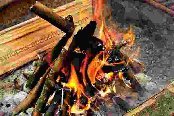 A Ranger Demonstrates Proper Campfire Building Techniques To A Group Of Campers. Weekend Camping Cyr Powers