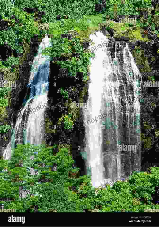 A Stunning Cascade Waterfall Surrounded By Lush Greenery Hiking Greater Toronto Niagara Peninsula