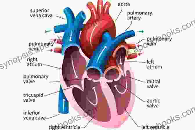 A Symbolic Representation Of The Human Heart, With Its Intricate Layers And Hidden Depths. Dilemmas: If Loving You Is Wrong