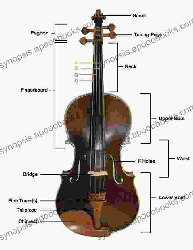 A Viola Adorned With Intricate Scrollwork, Its Strings Shimmering Under The Light Sacred Melodies For Solo Viola