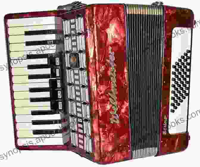 Accordion Used In Diverse Musical Styles The Accordion In The Americas: Klezmer Polka Tango Zydeco And More (Music In American Life 1)