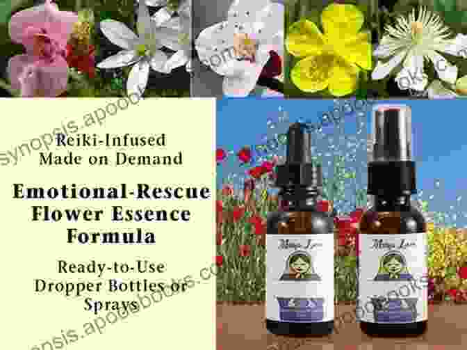 Bach Flower Remedies In Dropper Bottles Gently Healing With Bach Flowers For Horses And Riders: Harmonize The Soul And Strengthen The Body By The Power Of The Flowers