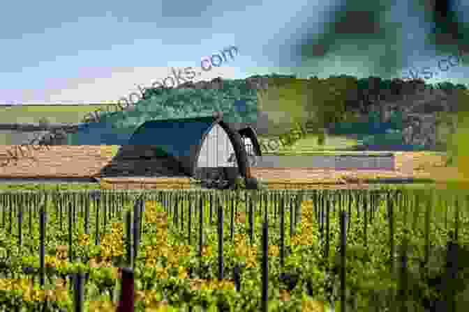 Château Angélus, A Renowned Winery On The Right Bank Of Bordeaux A Microguide To Bordeaux By Bottlenotes