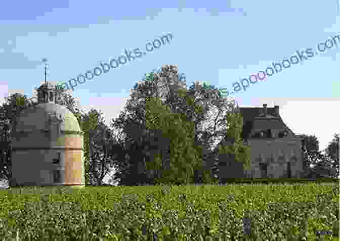 Château De Blaye, A Hidden Gem On The Outskirts Of Bordeaux A Microguide To Bordeaux By Bottlenotes