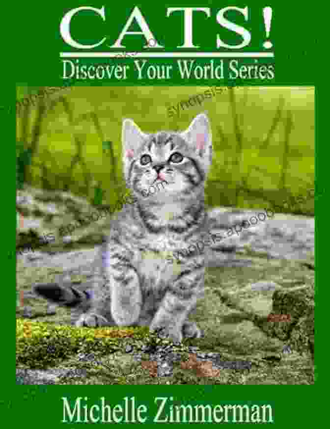 Cover Of Cats Discover Your World Series Cats (Discover Your World Series)