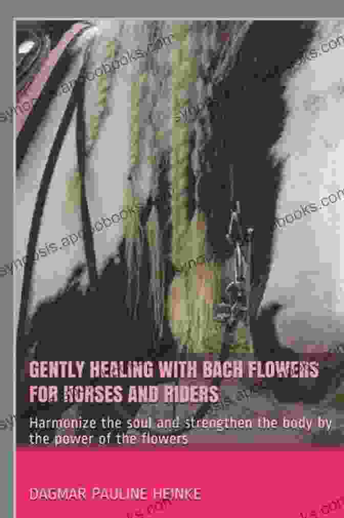 Gently Healing With Bach Flowers For Horses And Riders Book Cover Gently Healing With Bach Flowers For Horses And Riders: Harmonize The Soul And Strengthen The Body By The Power Of The Flowers