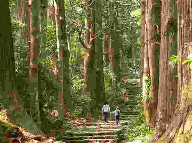 Hikers Walking Along The Kumano Kodo Trail Japan Is Very Wonderful: The Guide To Tokyo Hakone Kyoto And The Kumano Kodo (Camino De La Luna)