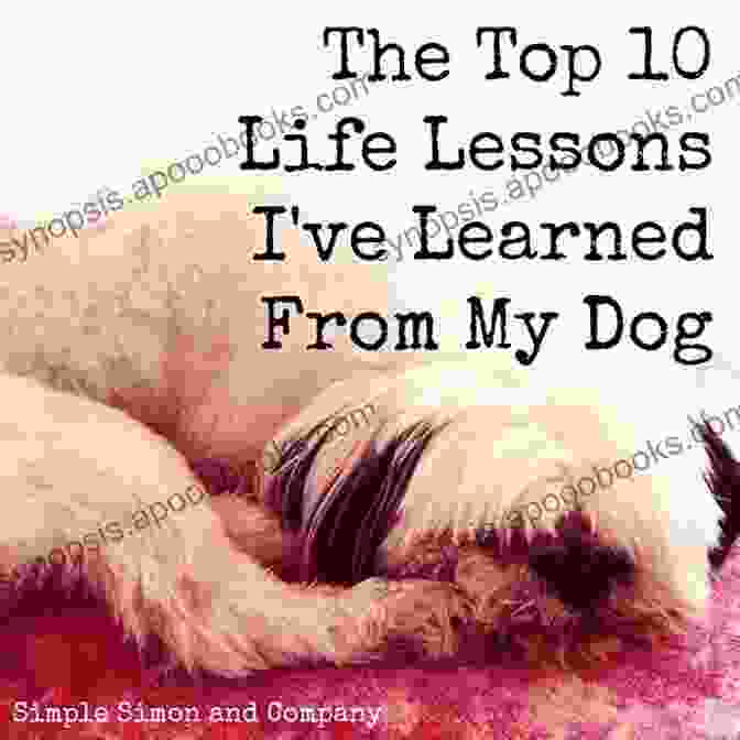 Lessons Learned From My Dogs: Book Cover Tails Of Wisdom: Lessons I Learned From My Dogs