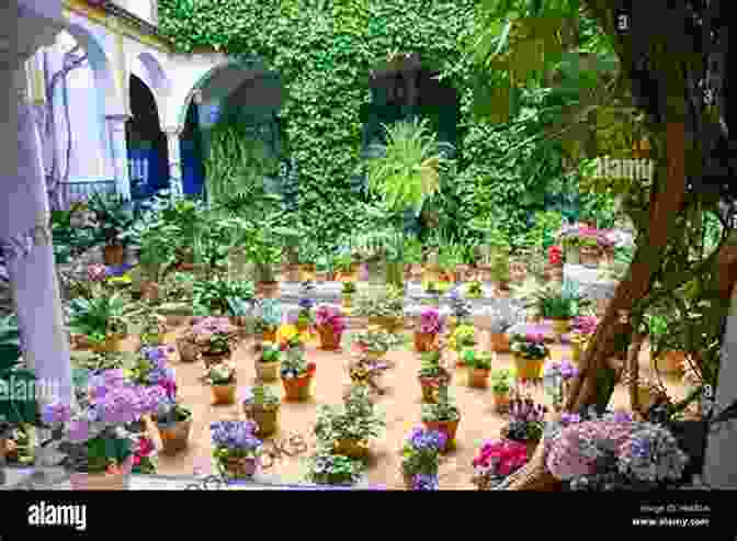 Picturesque Hidden Courtyard In Seville, Adorned With Flowers Seville: Travel Photography Cristiano Nogueira