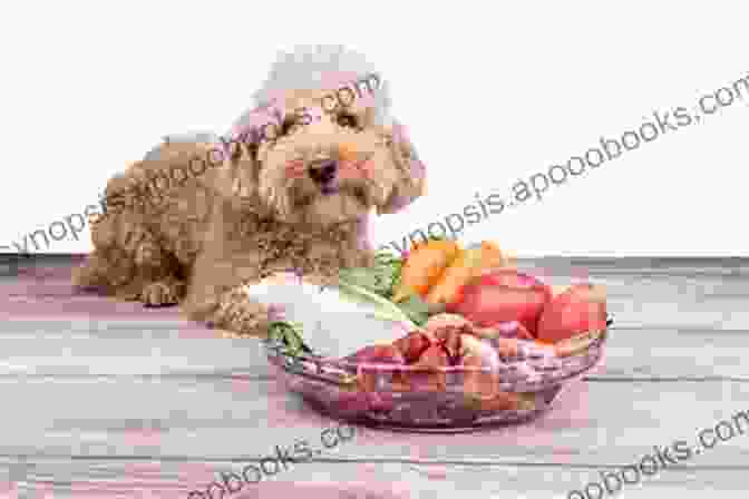 Poodle Eating A Healthy Meal Poodle Training Vol 3 Taking Care Of Your Poodle: Nutrition Common Diseases And General Care Of Your Poodle