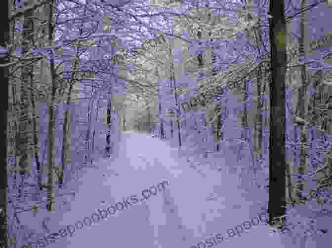 Pyotr, Sofya, And Innokenty Walking Through A Snowy Forest The Winter Soldier Daniel Mason