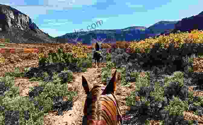 Rider And Horse Trail Riding In The Mountains Gently Healing With Bach Flowers For Horses And Riders: Harmonize The Soul And Strengthen The Body By The Power Of The Flowers