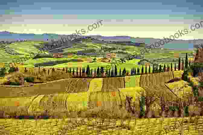 Rolling Hills And Vineyards In Tuscany Frommer S EasyGuide To Florence And Tuscany (Easy Guides)