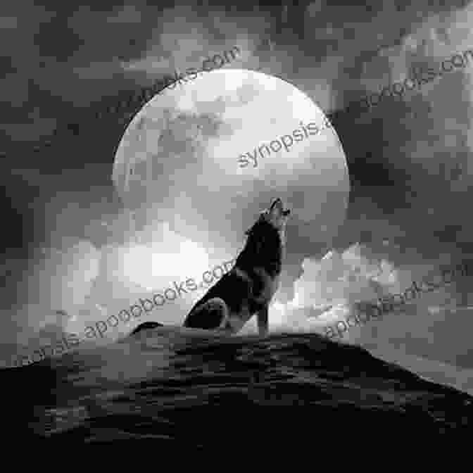 Stray Wolf Book Cover Featuring A Lone Wolf Howling At The Moon Stray Wolf: New Clan Shifters 1