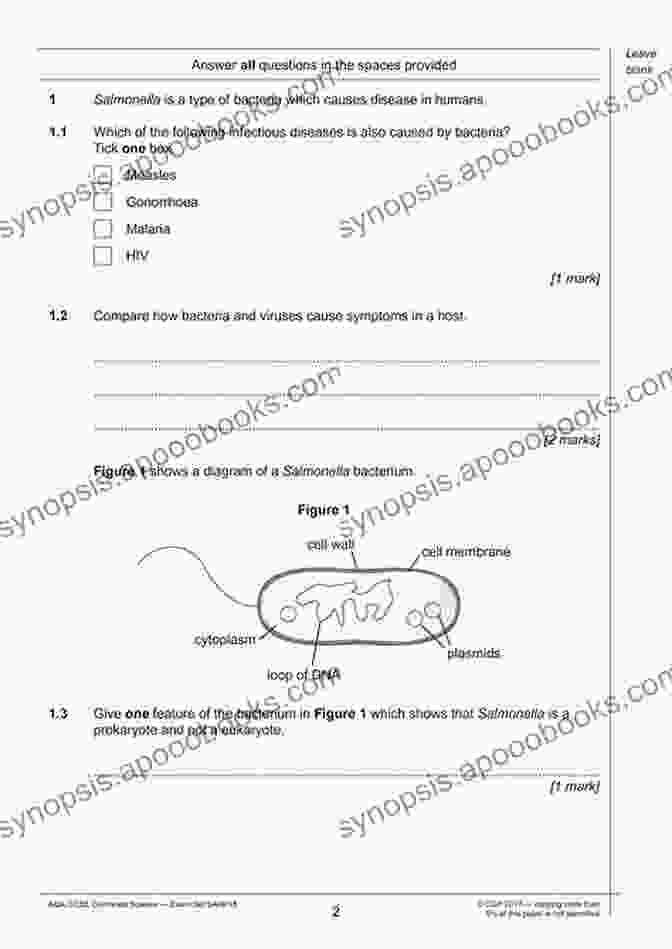 Student Celebrating AQA GCSE Combined Science Exam Success AQA GCSE 9 1 Combined Science Grade Booster (Grades 3 9): For The 2024 Autumn 2024 Summer Exams (Collins GCSE Grade 9 1 Revision)