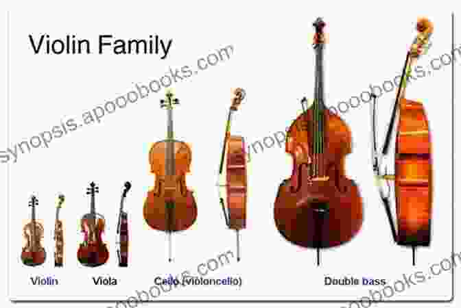 Violin, Viola, Cello, Bass Family Instruments AltStrings Fiddle Method For Violin (Orchestra) Viola Cello And Bass Piano Accompaniment Second Edition 1 And 2