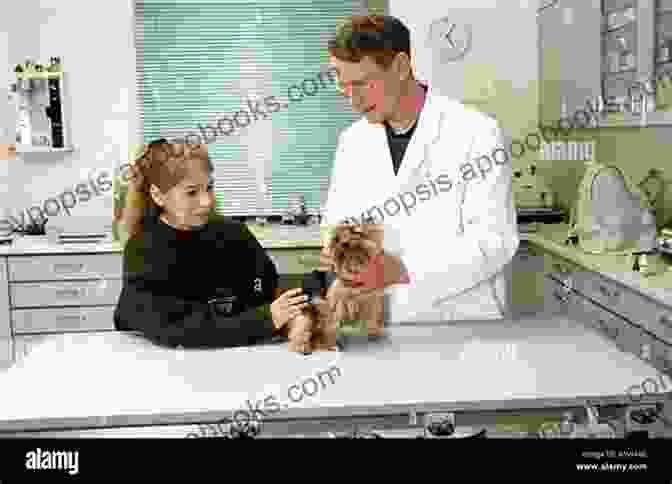 Yorkshire Terrier Being Examined By A Veterinarian Yorkshire Training Vol 3 Taking Care Of Your Yorkshire Terrier: Nutrition Common Diseases And General Care Of Your Yorkshire Terrier