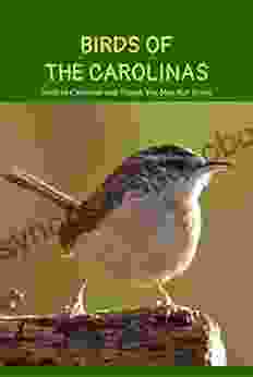 Birds Of The Carolinas: Birds In Carolinas And Things You May Not Know: Birds Of The Carolinas Facts