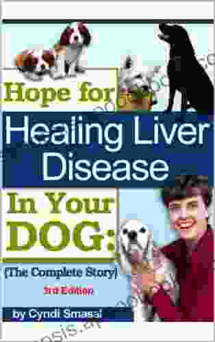 Hope For Healing Liver Disease In Your Dog