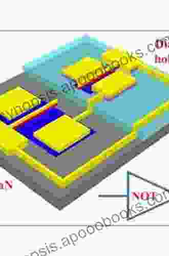 Fet Technology and Application M M Holt