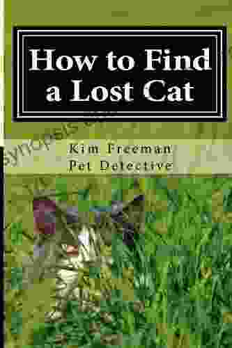 How To Find A Lost Cat: Proven Advice From A Pet Detective