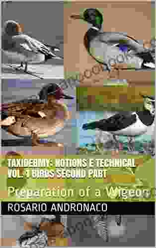 TAXIDERMY: NOTIONS E TECHNICAL VOL 1 BIRDS Second Part: Preparation Of A Wigeon (Taxidermy Embalming Birds 2)