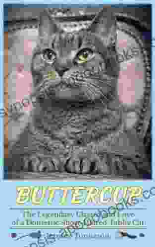 Buttercup: The Legendary Charm And Love Of A Domestic Short Haired Tabby Cat