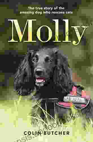 Molly: The True Story Of The Amazing Dog Who Rescues Cats