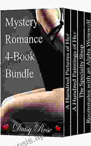 Mystery Romance 4 Bundle Daisy Rose