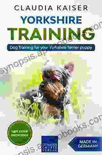 Yorkshire Training: Dog Training For Your Yorkshire Terrier Puppy