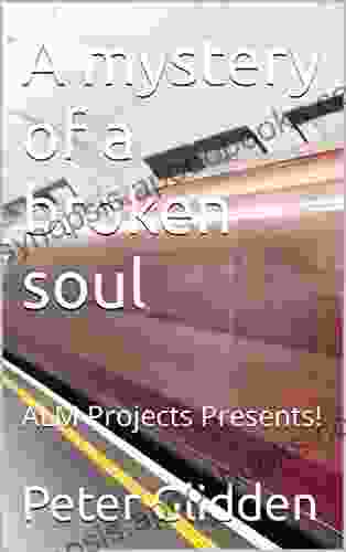 A mystery of a broken soul: ALM Projects Presents (A mystery of a broken soul 1)